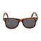 7900 Polarized Collection -  Assorted Colors | 6PC Minimum